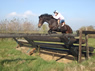 Wickstead Jump14